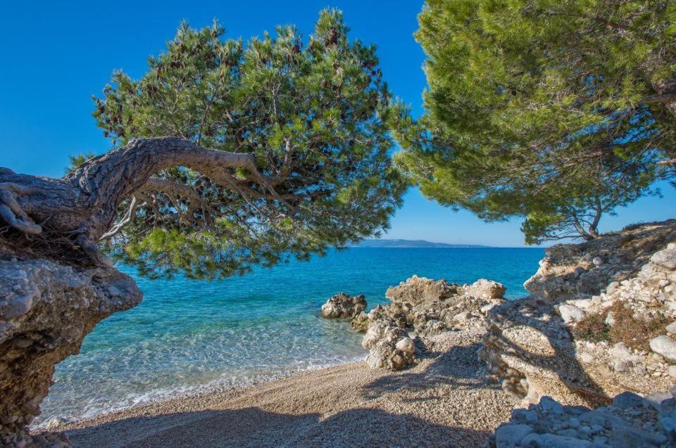 Apartments Kovacic Makarska Eksteriør billede